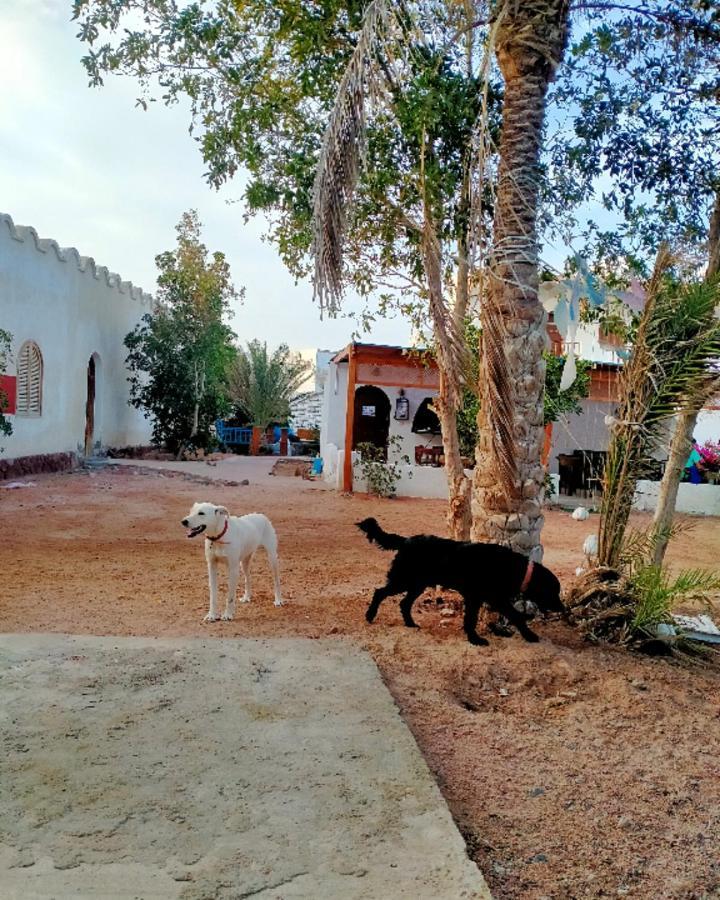 Hostel Nook Dahab Zewnętrze zdjęcie