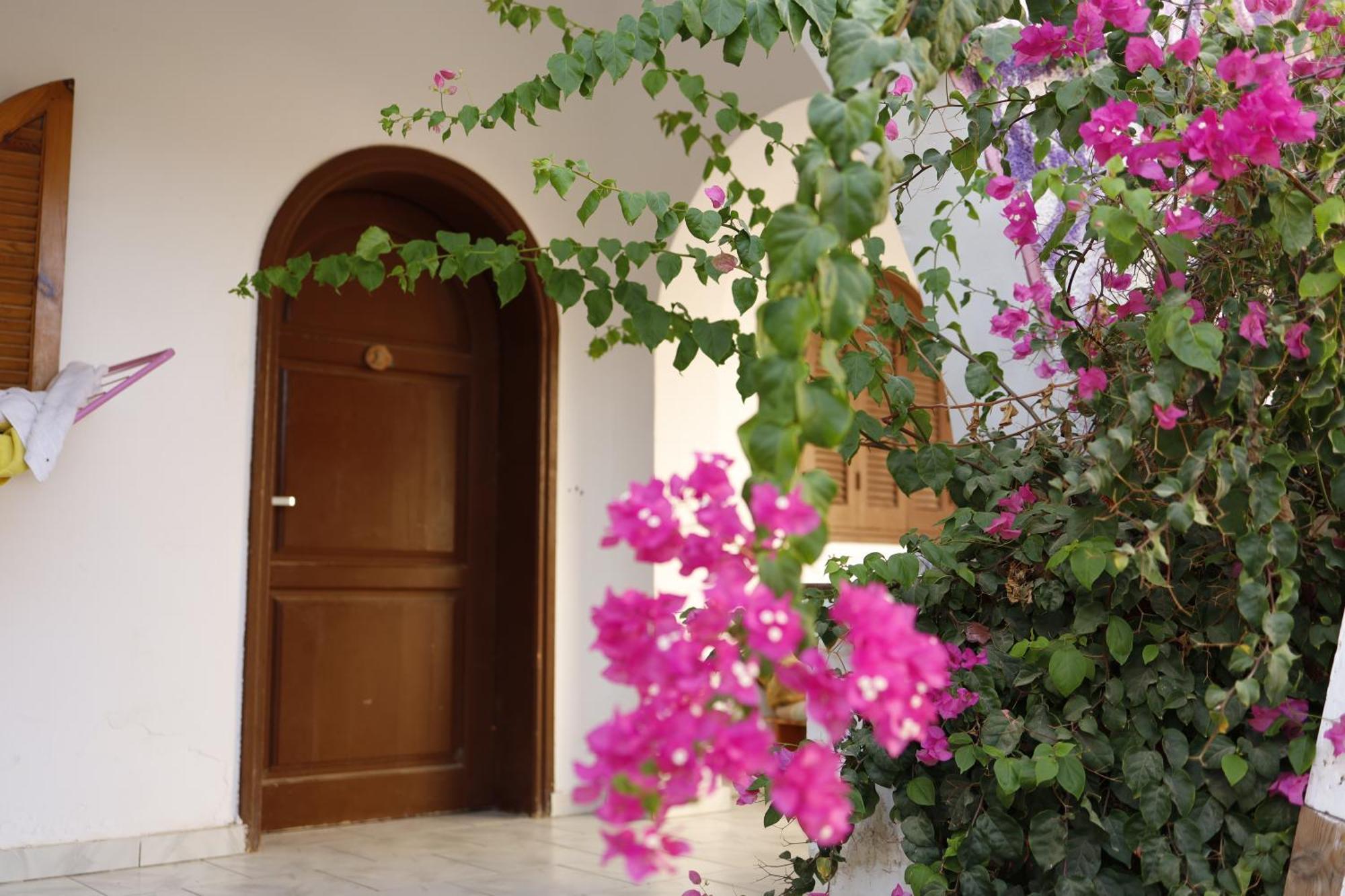 Hostel Nook Dahab Zewnętrze zdjęcie