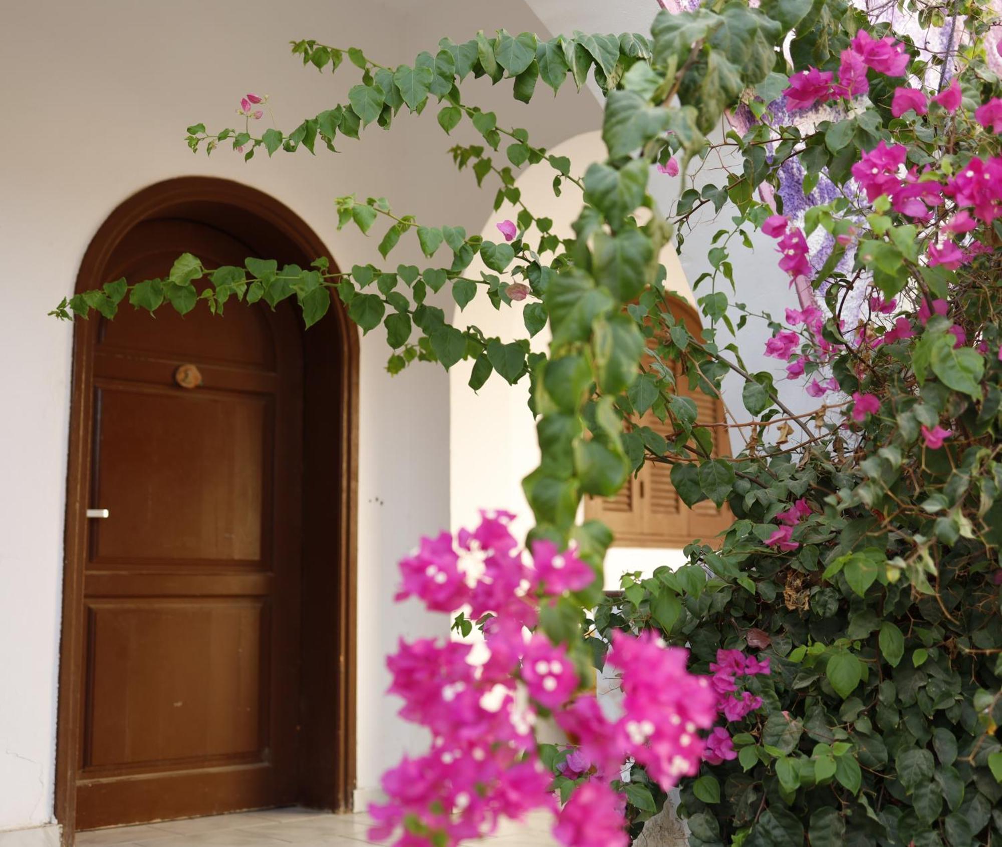 Hostel Nook Dahab Zewnętrze zdjęcie